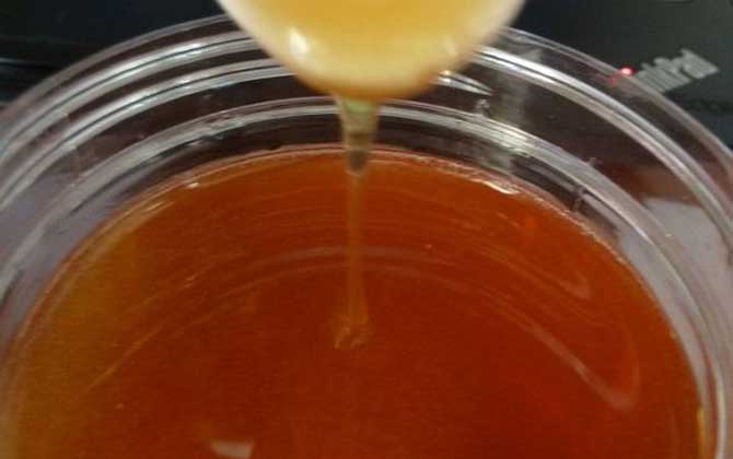 益母草蜂蜜