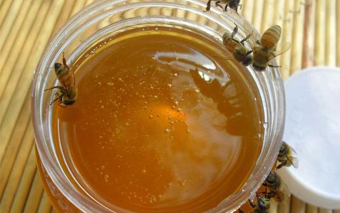 枣花蜜真假图片及鉴别方法 枣花蜜