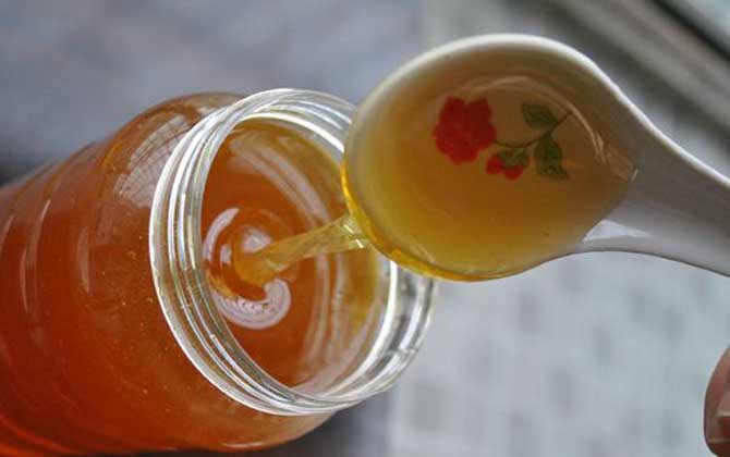 枣花蜜怎么辨别真假? 枣花蜜