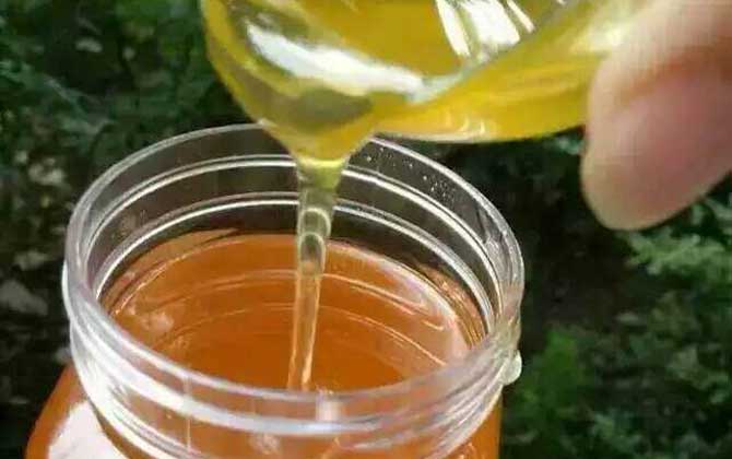 枣花蜜会结晶吗? 枣花蜜