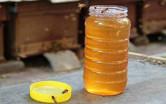 喝枣花蜜能治便秘吗? 枣花蜜