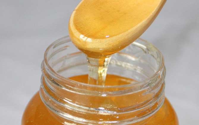 枣花蜜是什么颜色? 枣花蜜