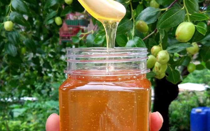 枣花蜜保质期有多久? 枣花蜜