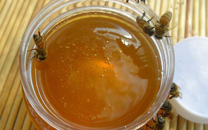 枣花蜜保质期有多久? 枣花蜜