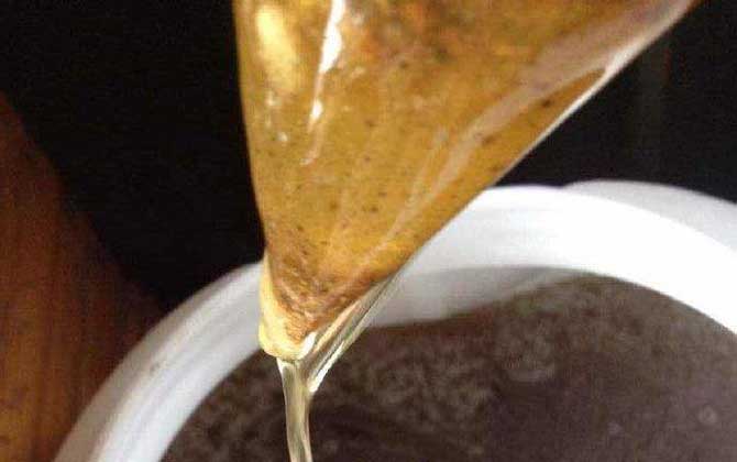 龙眼蜜和蜂蜜的区别 龙眼蜜