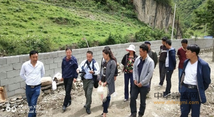 扶贫路上与蜂为伴—中国养蜂学会审查舟曲县创建“全国中华蜜蜂之乡”工作