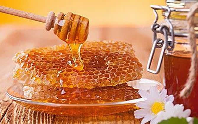 蜂蜜是怎么来的