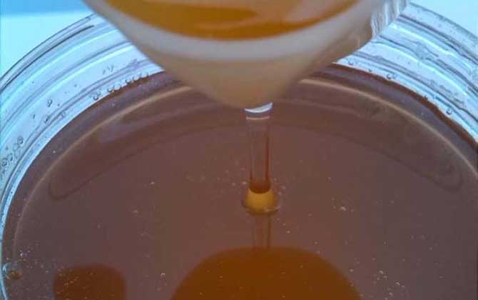 槐花蜜和荆条蜜哪个好(槐花蜜和荆条蜜的对比) 槐花蜜和荆条蜜哪个好(槐花蜜和荆条蜜的对比)