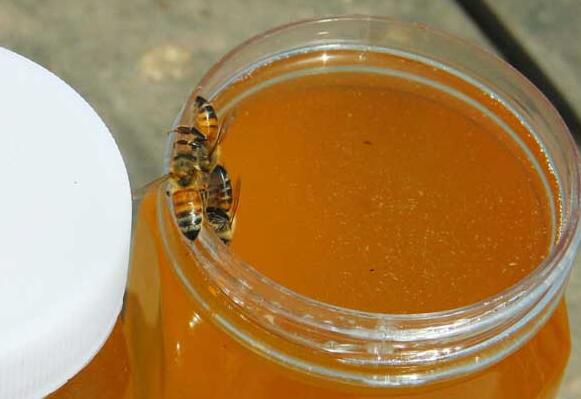 为什么建议吃柑橘蜜（吃柑橘蜜的好处有哪些）