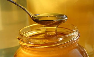 柑橘蜜和椴树蜜的对比（柑橘蜜和椴树蜜哪个好）