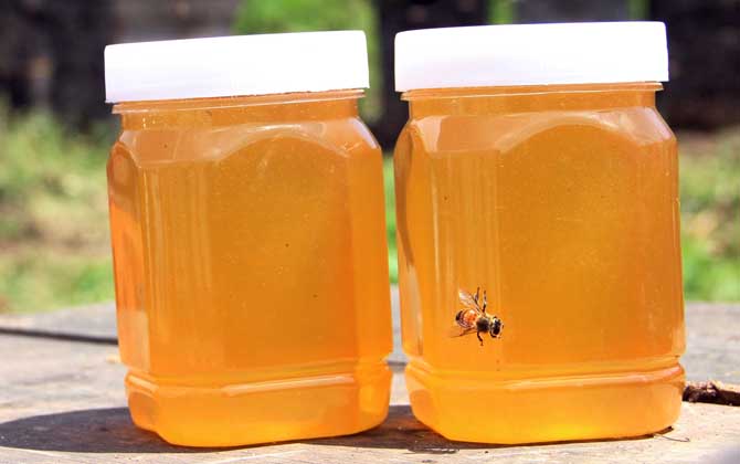 喝柑橘蜜会发胖吗（柑橘蜜喝多了会怎么样）