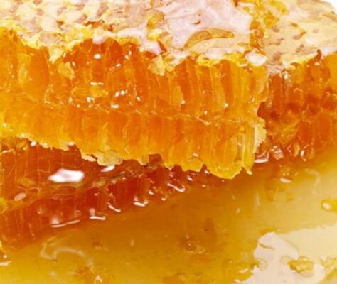 黑蜂蜂蜜的作用与功效及食用方法（黑蜂蜜的营养价值）