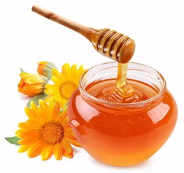 姜跟蜂蜜熬水有什么作用（姜和蜂蜜水一起喝有什么作用）