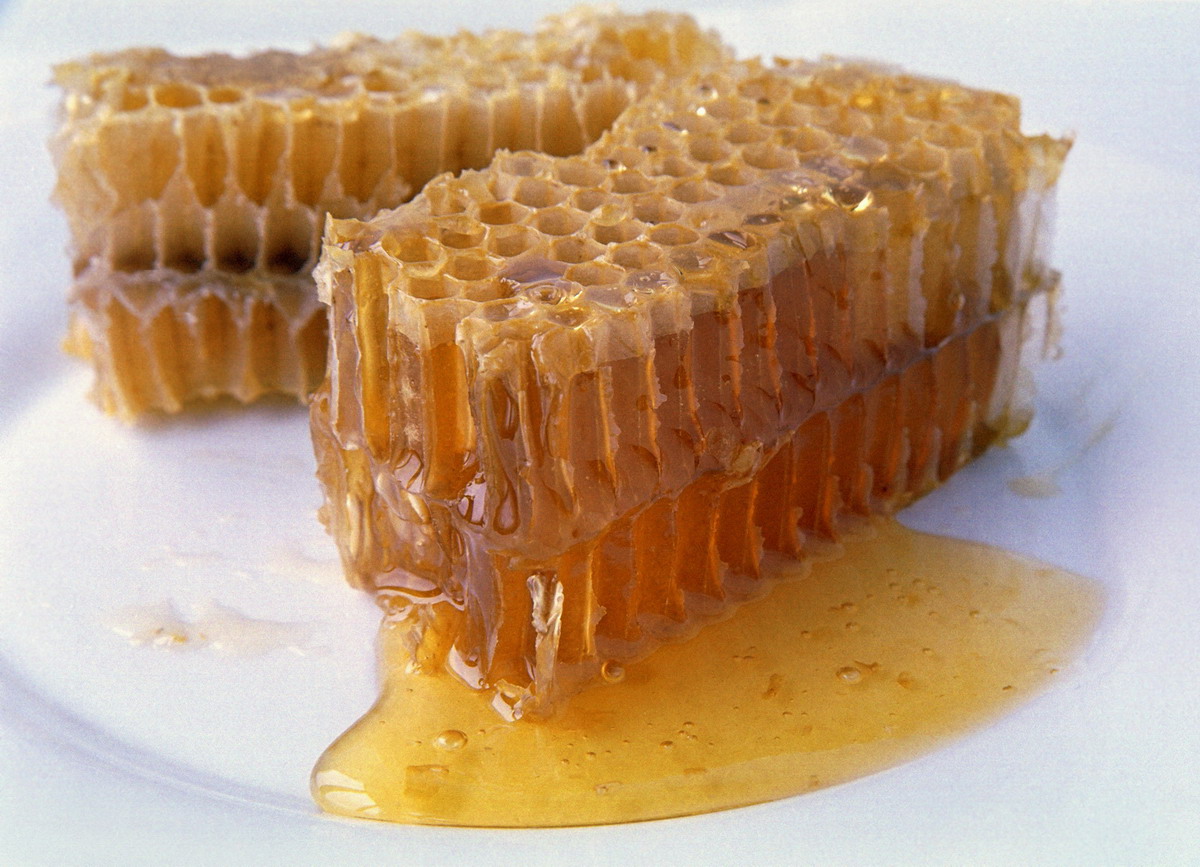 意蜂能不能采荆条蜜（荆条蜜是什么蜂蜜）
