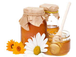 吃野生蜂蜜有哪些好处（野蜂蜜的功效与作用）
