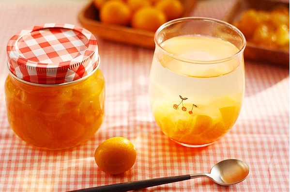 菠萝蜜属于柑橘类吗（菠萝蜜形态特征）