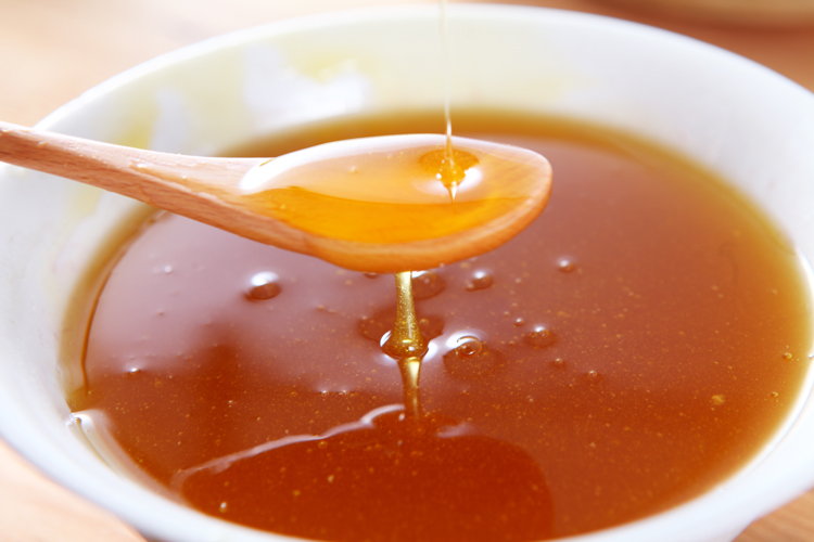 菠萝蜜属于柑橘类吗（菠萝蜜形态特征）