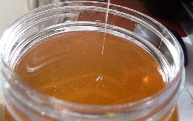 怎么分辨柑橘蜜（柑橘蜜的真假怎么鉴别）