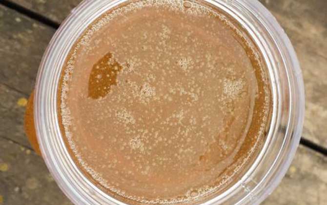 荔枝蜜多少钱一斤（正宗荔枝蜂蜜价格多少钱一斤？）