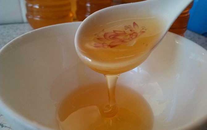 龙眼蜜怎么喝（龙眼蜜的禁忌及正确吃法）