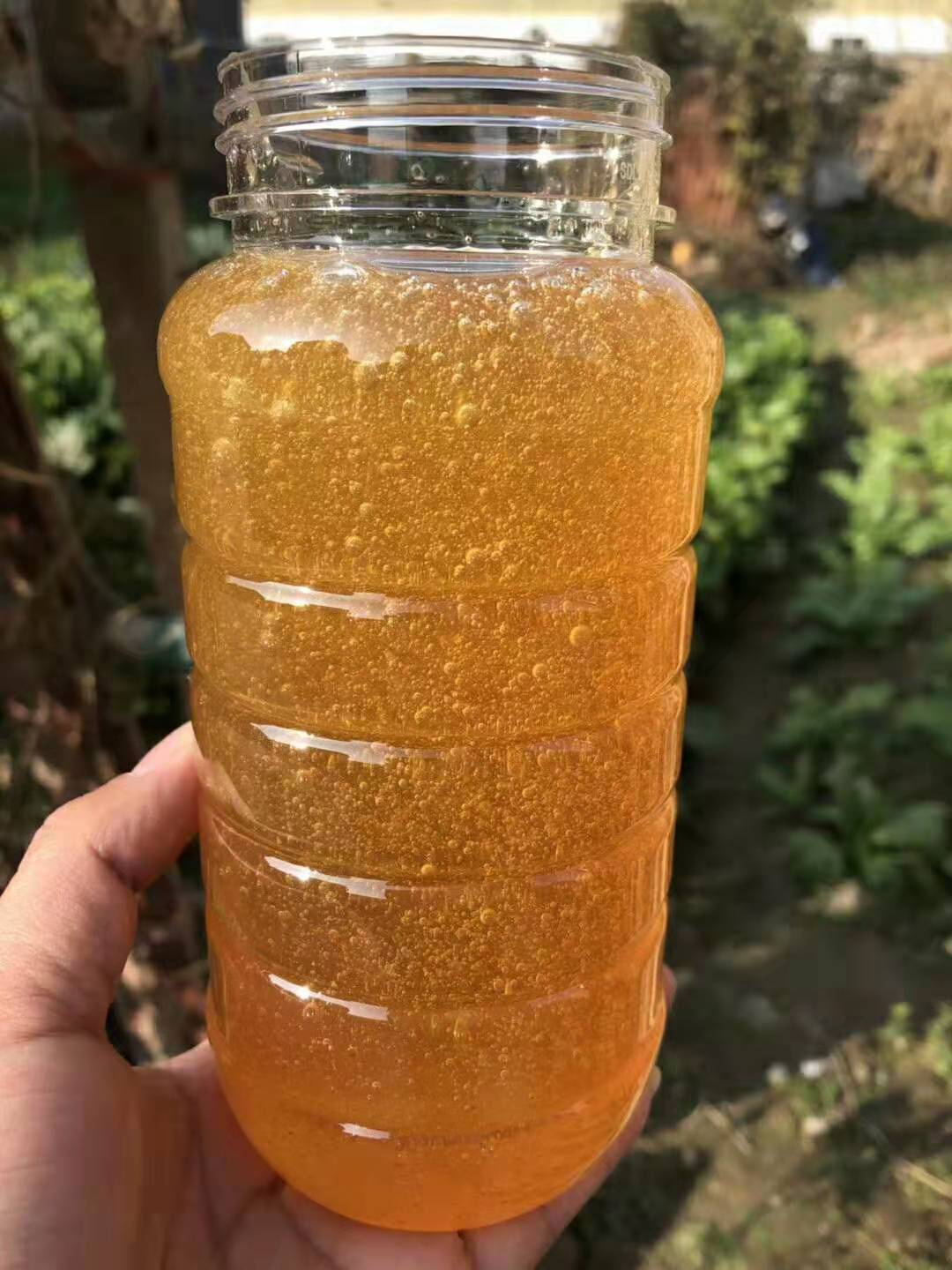 荔枝蜜对人体有什么好处（荔枝蜜的功效作用）