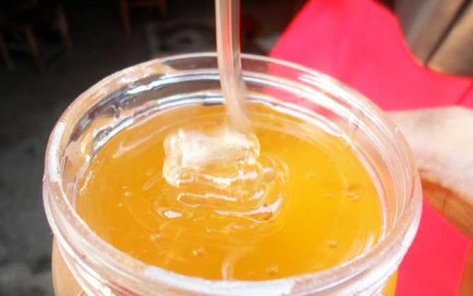 什么人适合柑橘蜜（柑橘蜜的功效）