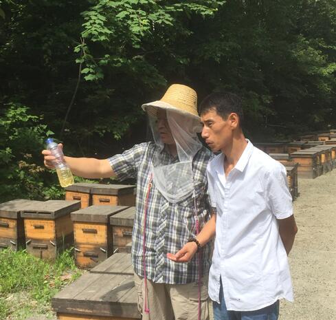 椴树蜂蜜儿童可以喝吗（椴树蜂蜜对儿童的功效）