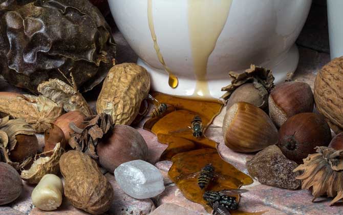 荆条蜜变质是什么样子的(荆条蜜会变质么) 荆条蜜变质是什么样子的(荆条蜜会变质么)