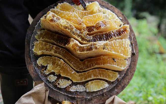 百花蜜贵吗（百花蜜价格多少钱一斤）