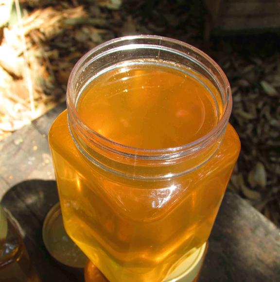 感冒咳嗽喝冬蜜好还是荔枝蜜好（感冒可以喝蜂蜜么？）