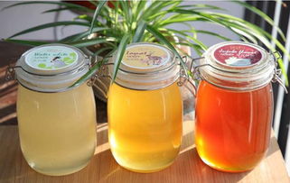 枣花蜜怎么做面膜(蜂蜜的真假如何鉴别) 枣花蜜怎么做面膜(蜂蜜的真假如何鉴别)