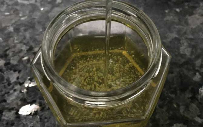 买的洋槐花蜜可以直接喝吗（槐花蜜的禁忌及正确喝法）