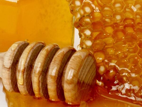 冲柠檬用枣花蜜还是槐花蜜(蜂蜜柠檬水用什么蜂蜜比较好 ) 冲柠檬用枣花蜜还是槐花蜜(蜂蜜柠檬水用什么蜂蜜比较好 )