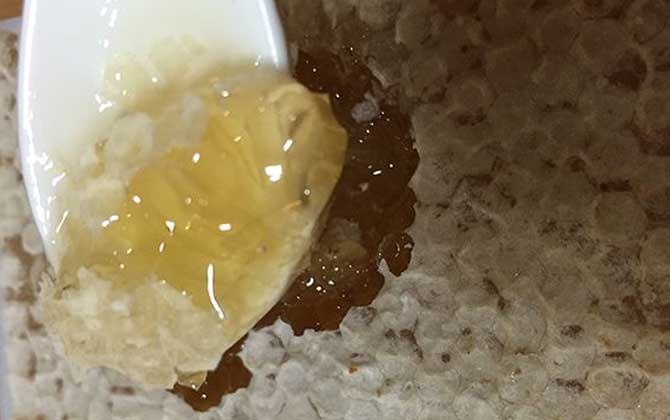 蜂巢蜜吃多了会怎样（蜂巢蜜吃多后的危害）