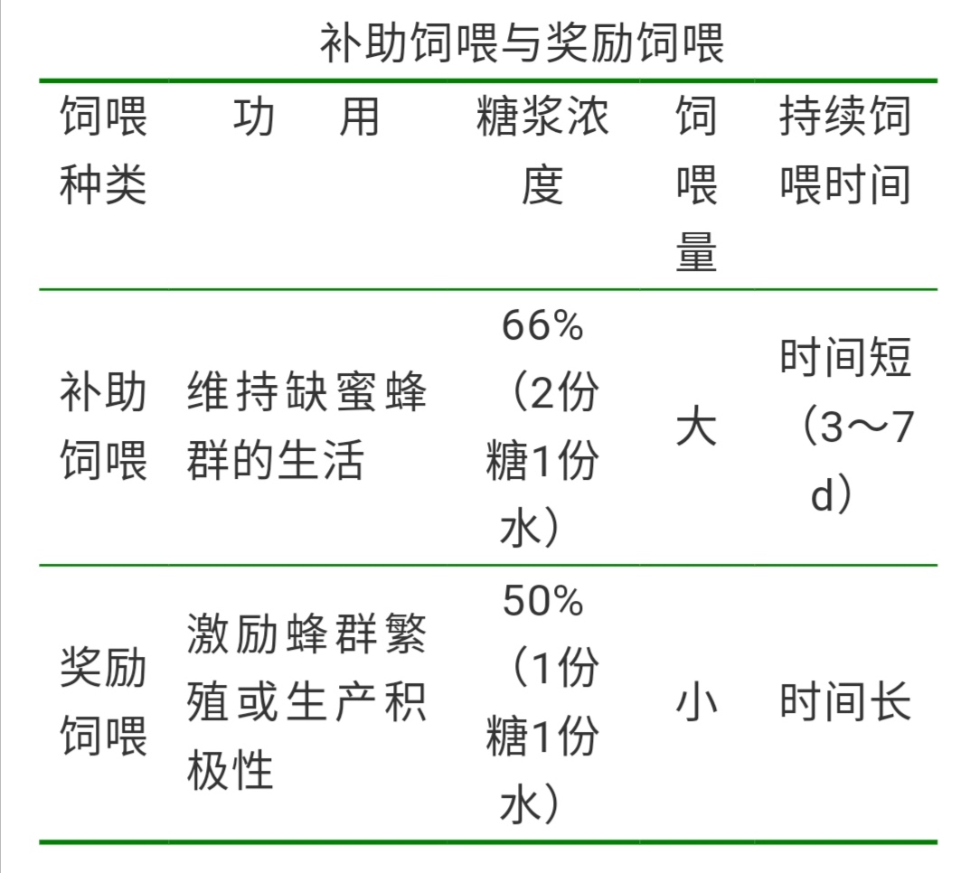 养中蜂的详细技术方法（最新中蜂养殖技术大全）