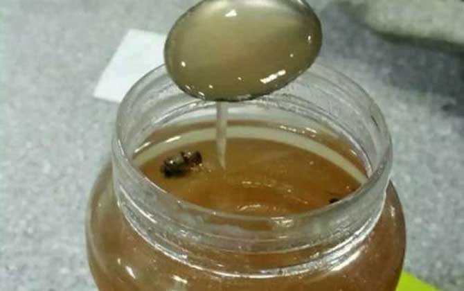 荔枝蜜和乌桕蜜的区别（荔枝蜜和乌桕蜜哪个好？）