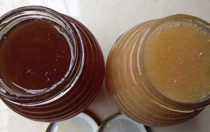 荔枝蜜和乌桕蜜的区别（荔枝蜜和乌桕蜜哪个好？）