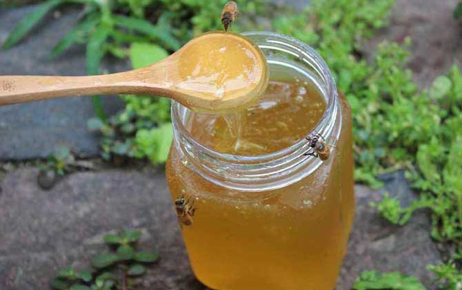 枣花蜜和土蜂蜜哪个好(枣花蜜和土蜂蜜的对比) 枣花蜜和土蜂蜜哪个好(枣花蜜和土蜂蜜的对比)