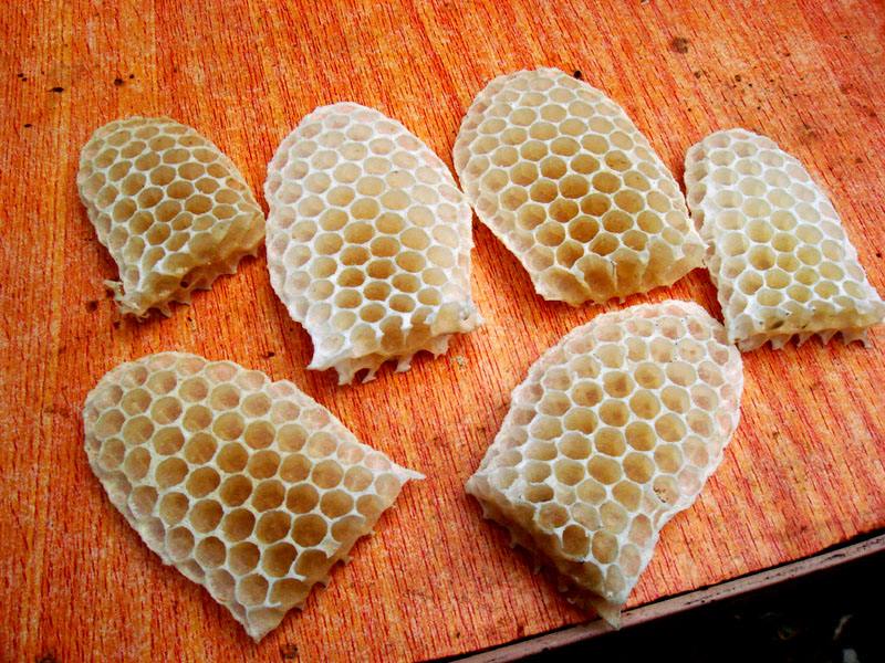 蜂蜡与蜂胶的区别