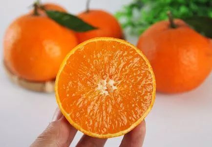 柑橘蜂蜜属于几等蜜（柑橘蜜的等级）