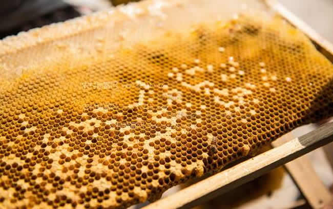 蜜蜂蜡有什么作用？