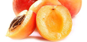 柑橘蜜和枸杞能一起吃吗（柑橘蜜的营养价值）