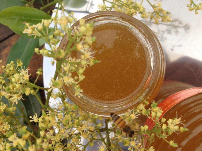 荔枝蜜和油菜花粉一起喝的功效（油菜花蜂蜜的作用与功效有哪些？）