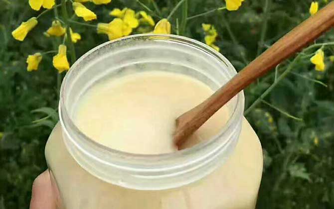 油菜蜜和荆条蜜哪个好（油菜蜜和荆条蜜的对比）