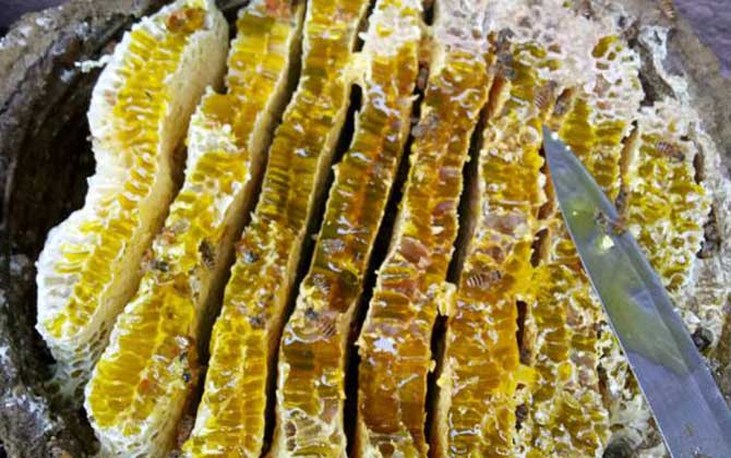 蜂巢蜜的禁忌人群（蜂巢蜜哪4类人不能吃）