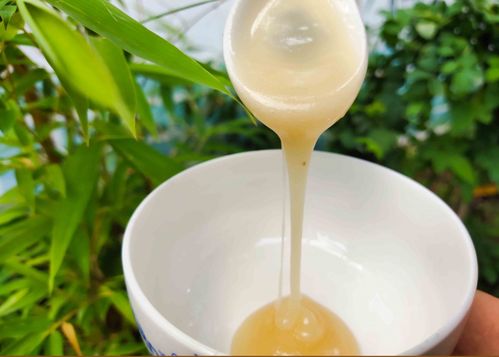 柑橘产蜜量怎么样（柑橘蜜的产量有多高）