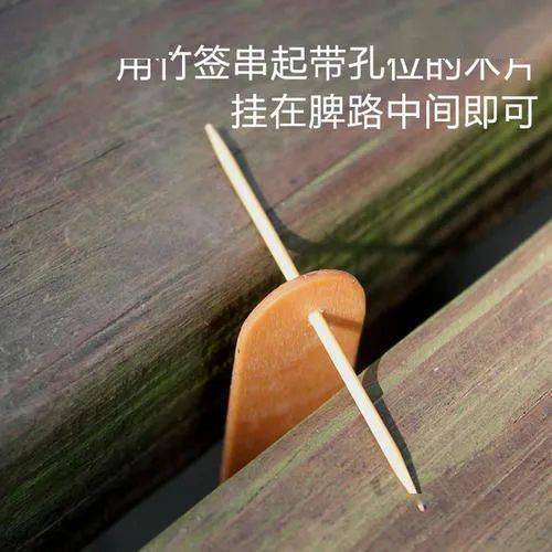 巢虫清木片怎么样放置（巢虫清木片的制作方法）