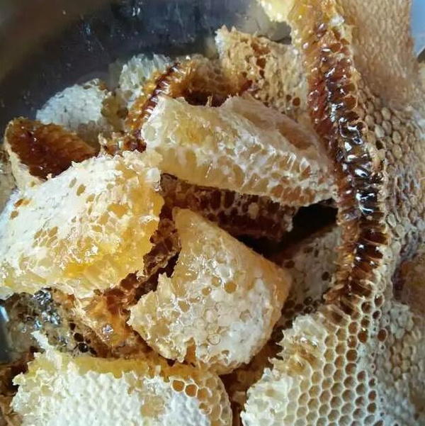 意大利蜜蜂养殖日常工作（意大利蜂蜜期管理技巧） 