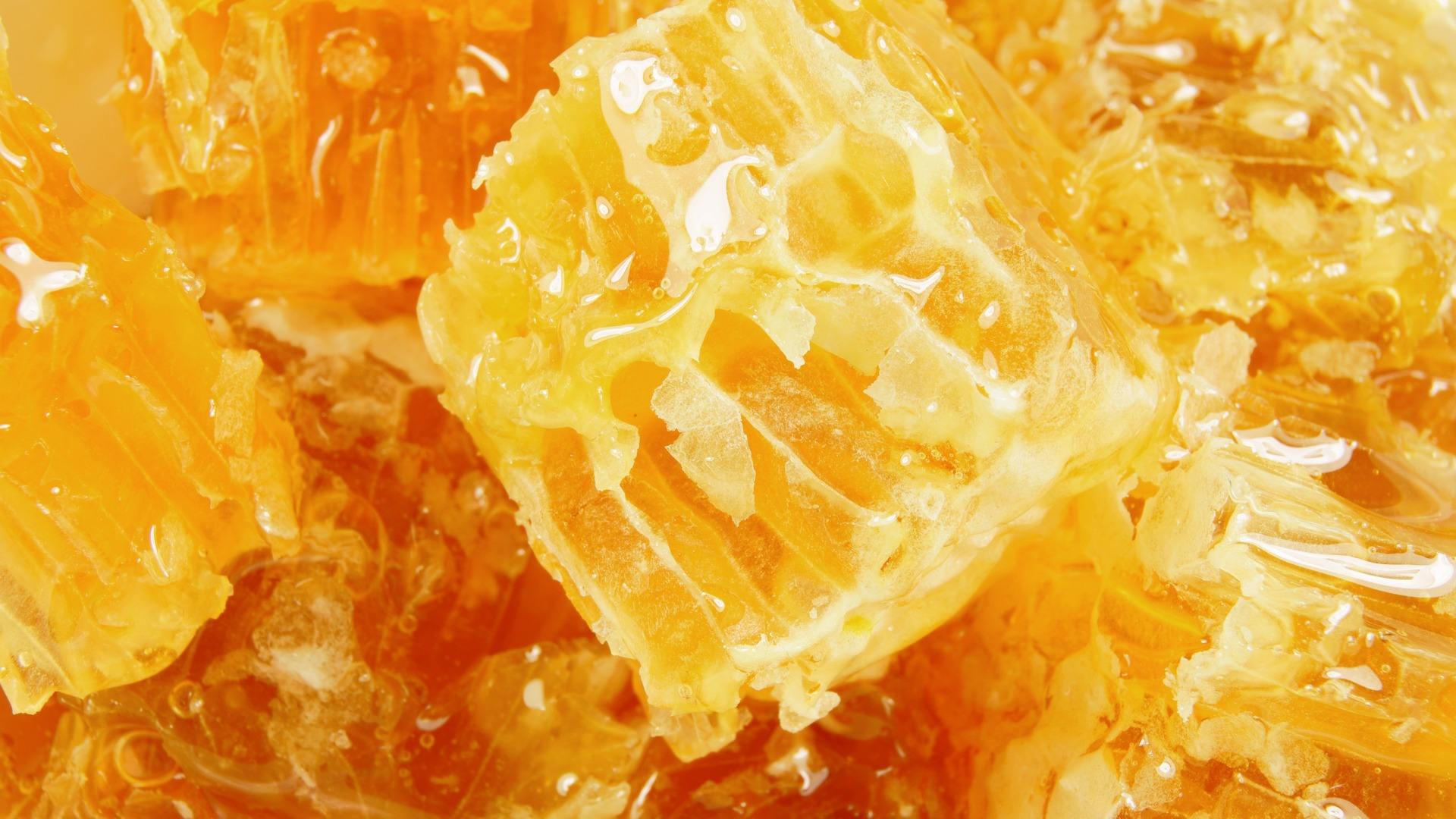 柑橘蜜和荆条蜜的区别（柑橘蜜和荆条蜜哪个好）