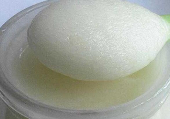 雪脂莲蜜的作用与功效（雪脂莲蜜的食用禁忌）